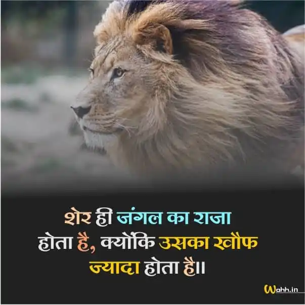 Attitude Sher Status in Hindi
