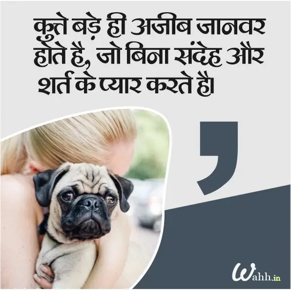 Beautiful Dog Captions In Hindi