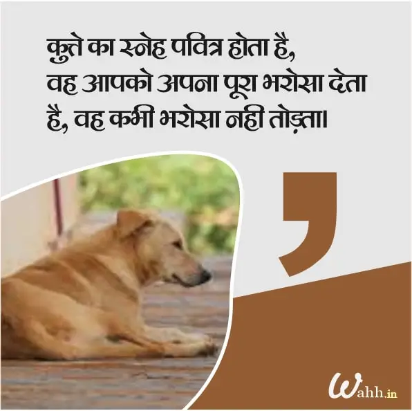Beautiful Dog Quotes In Hindi