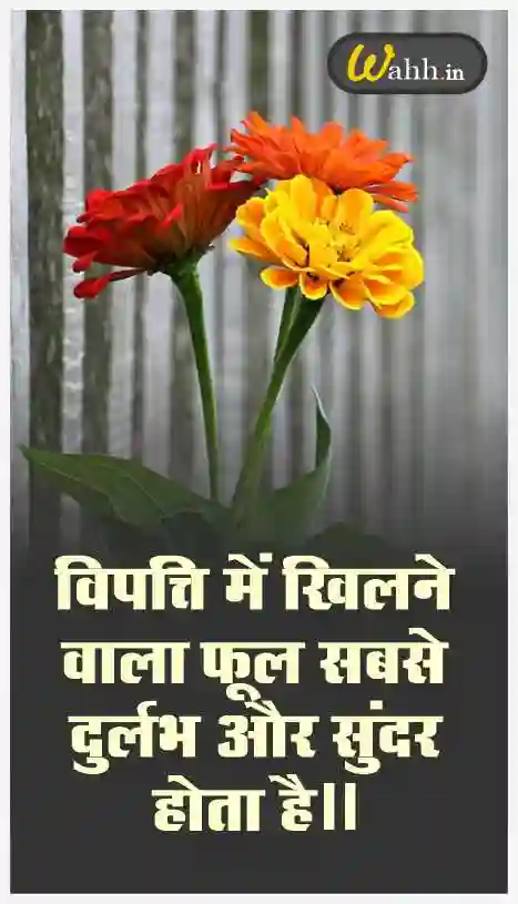 Beautiful Flower Quotes In Hindi
