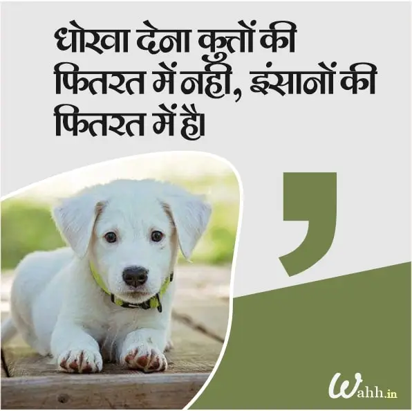 Best Dog Quotes In Hindi