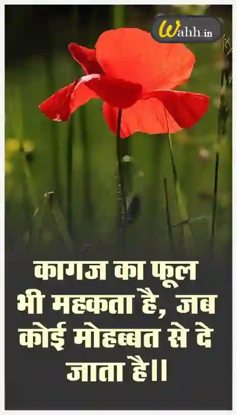 Best Flower Quotes and Images In Hindi