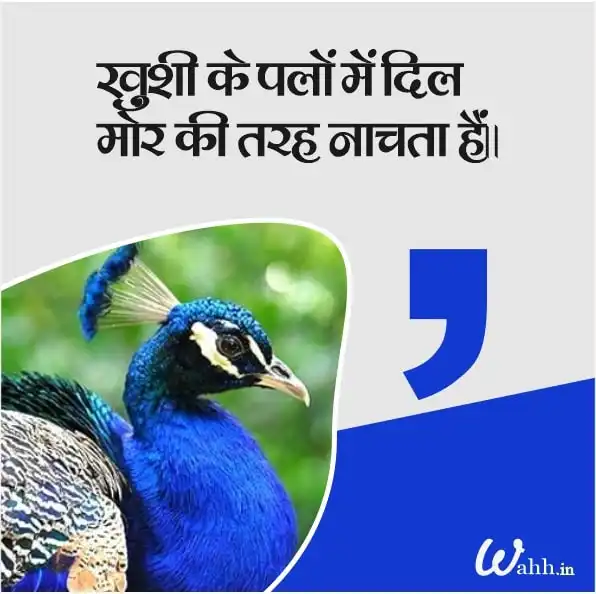 Best Peacock Quotes In Hindi