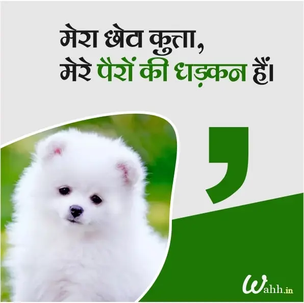 Dog Captions In Hindi