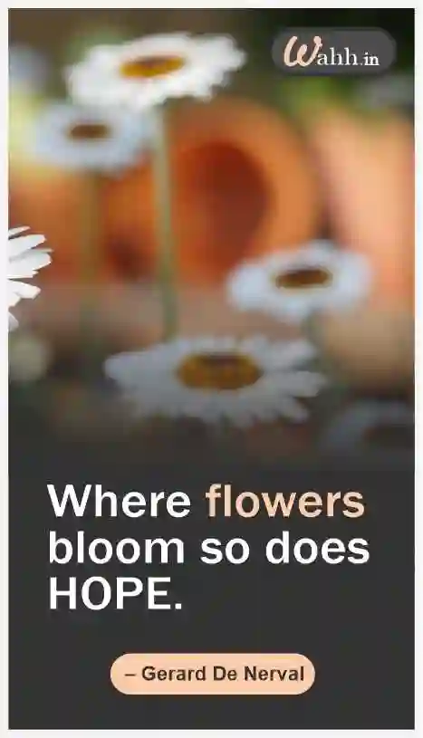 Flower Captions and Images In English