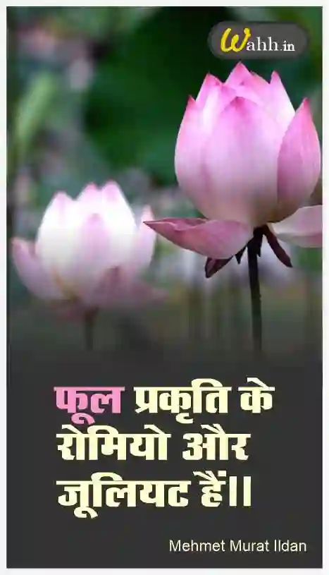 Flower Hindi Quotes