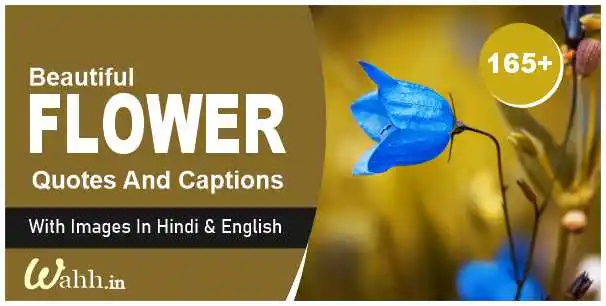 Flower Quotes In Hindi