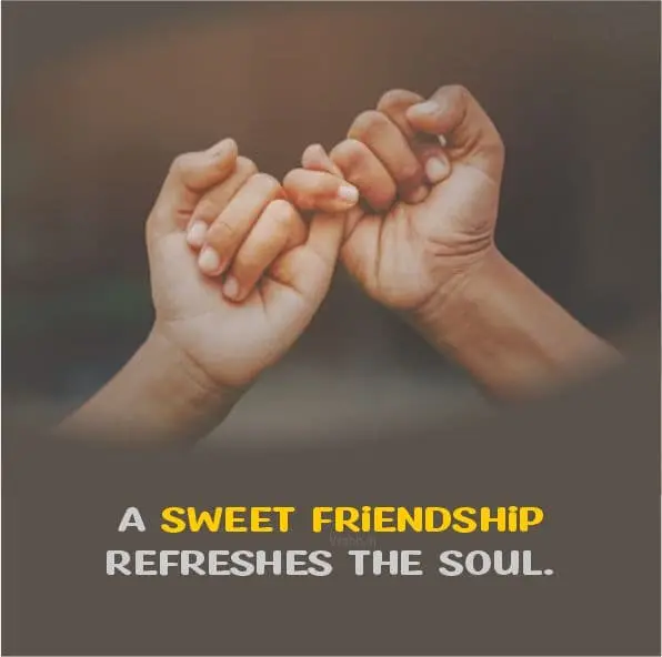 Friendship Quotes In English Images