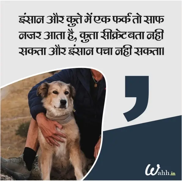 Inspirational Dog Captions In Hindi