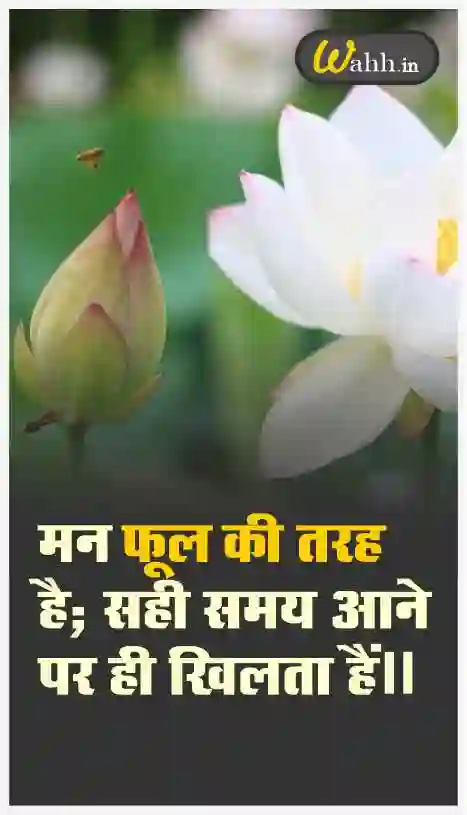Inspirational Short Flower Quotes In Hindi