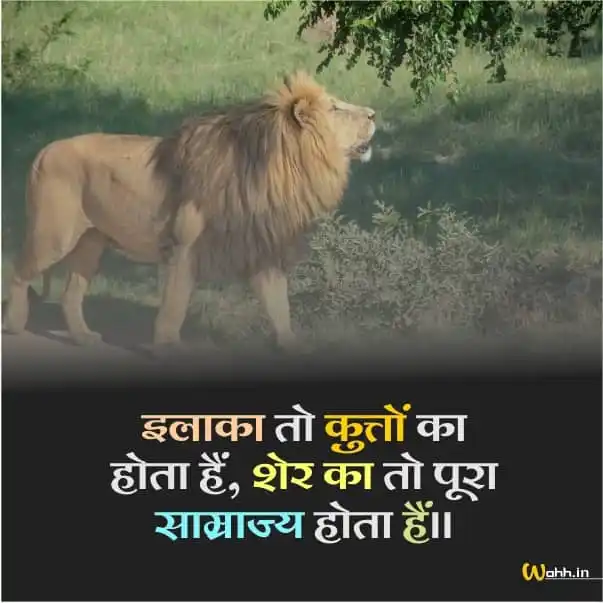 Lion Hindi Quotes