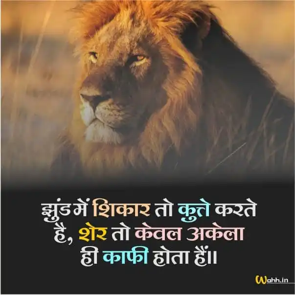 Lion Hindi Thoughts