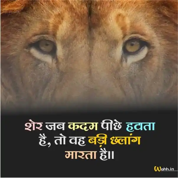 Lion Thoughts in Hindi