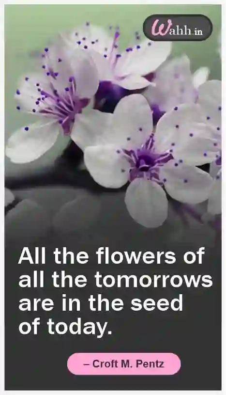 Short Flower Quotes In English